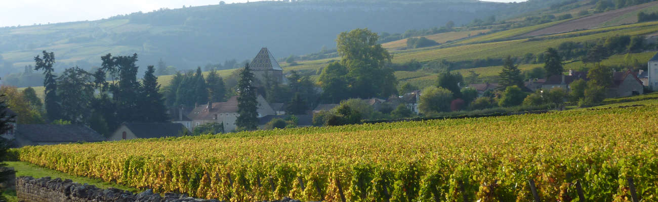 Carillons suédois -  France