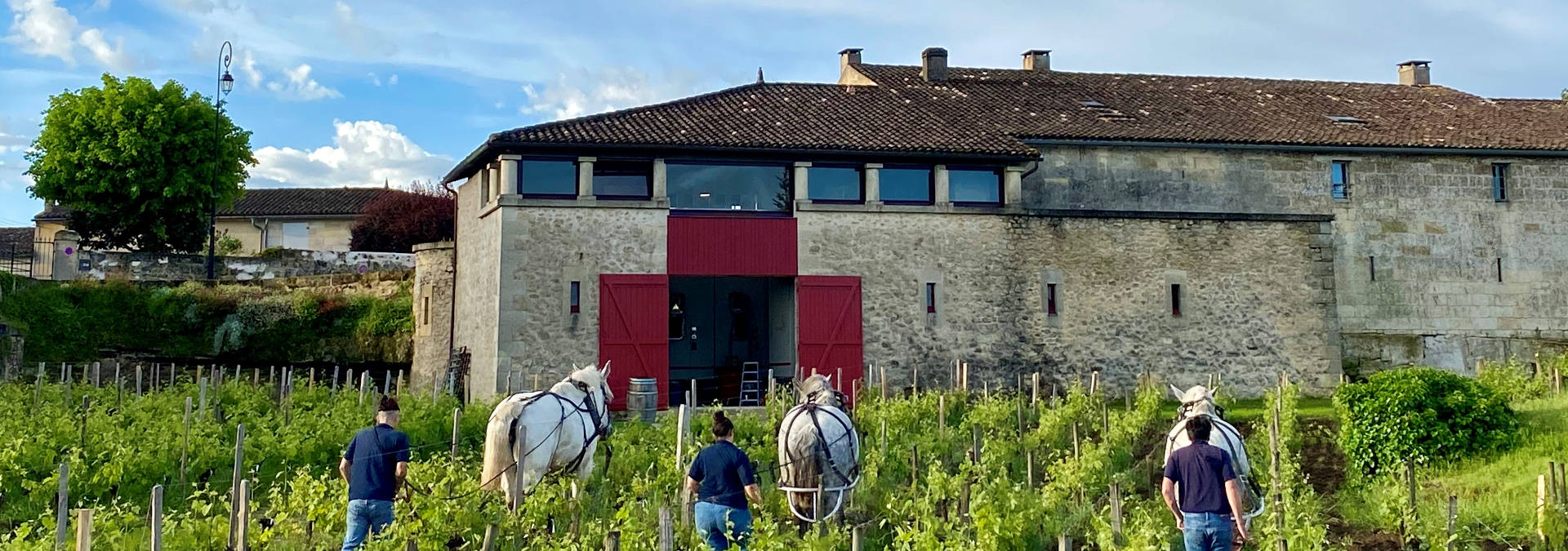 Visit Château Cardinal-Villemaurine, Saint-Emilion - Cellars