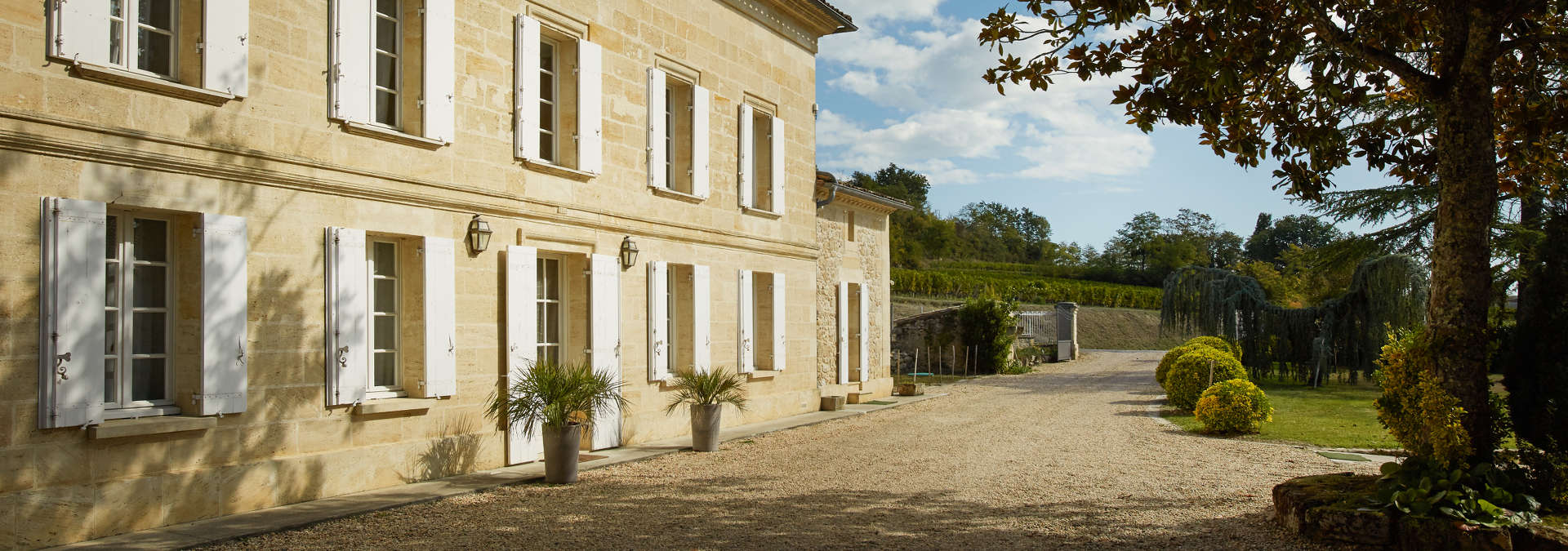 Chateau des Bertins 2019 Bordeaux – Irish Tipple